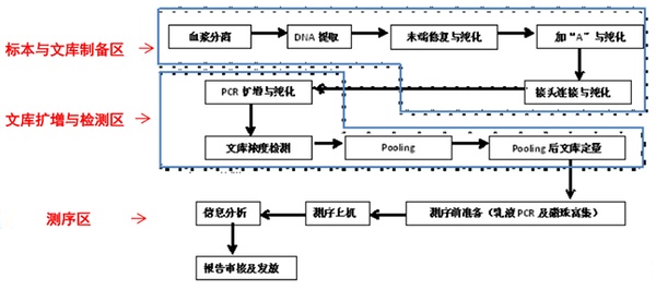 基因实验室平面布局工作流程（www.cdapril.com）