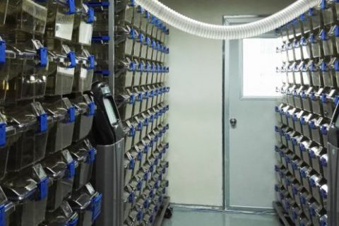 SPF级动物实验室建设要点及重要意义