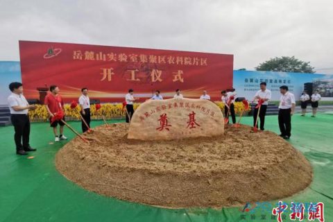 总投资逾18亿元！岳麓山实验室集聚区（农科院片区）开工建设